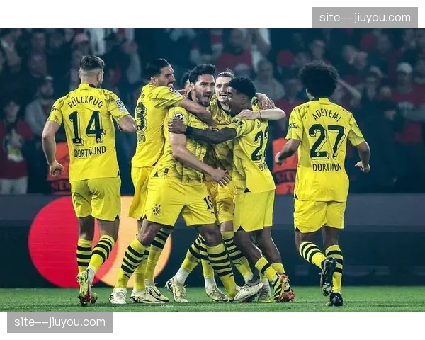 多特蒙德边后卫扬库托肌肉问题 训练中出现新伤情